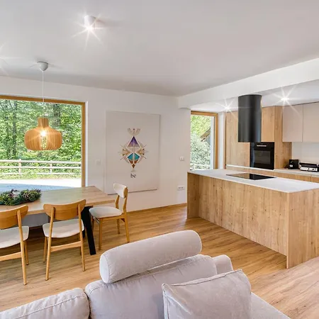 Twin Villa Bohinj